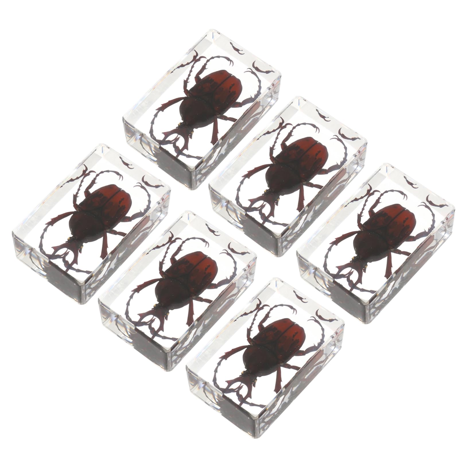 Alipis Intricate Resin Crafts: 6pcs Beetle Spider Scorpion Specimens Unique Decor for Home Office