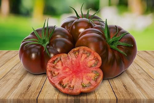 Miniatura 2 de Semillas Black Russian Tomate Indeterminado No GMO Heirloom