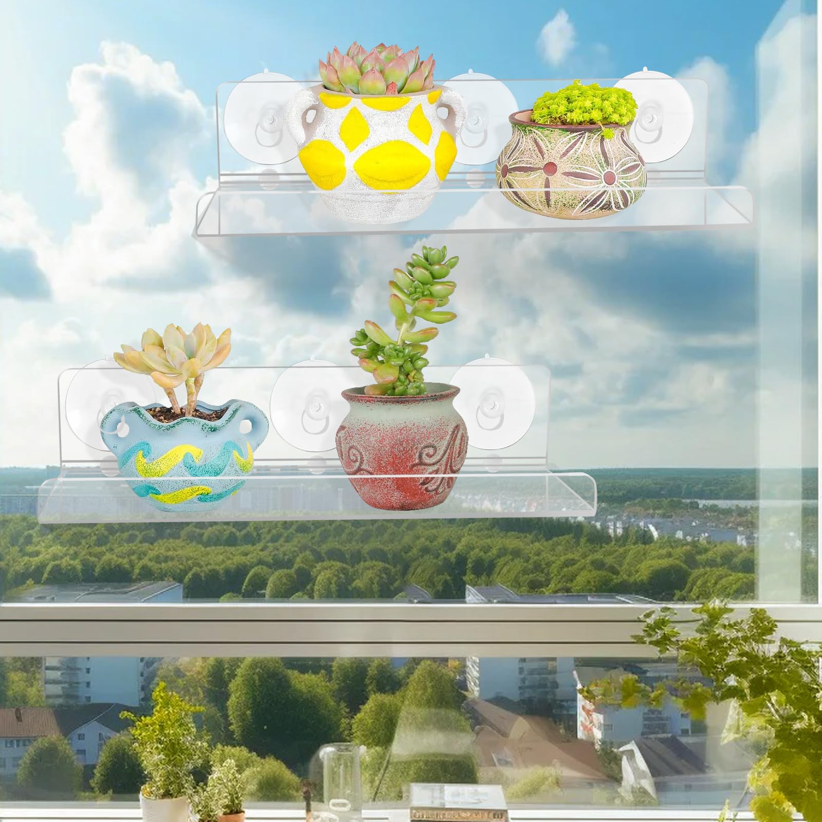 Paquete de 2 estantes de ventana para plantas, estantes de ventosa acrílica de 12 pulgadas para suculentas, macetas de hierbas, micro verdes, organizador de baño, soporte de exhibición y 3