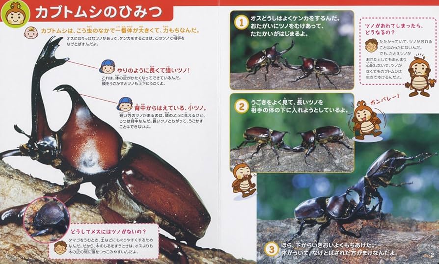 ビッグサイエンス　かがくのとも　かぶとむしとくわがたむし　くらべっこクイズ かぶとむしくわがたむしくらべっこクイズ サンチャイルドビッグ