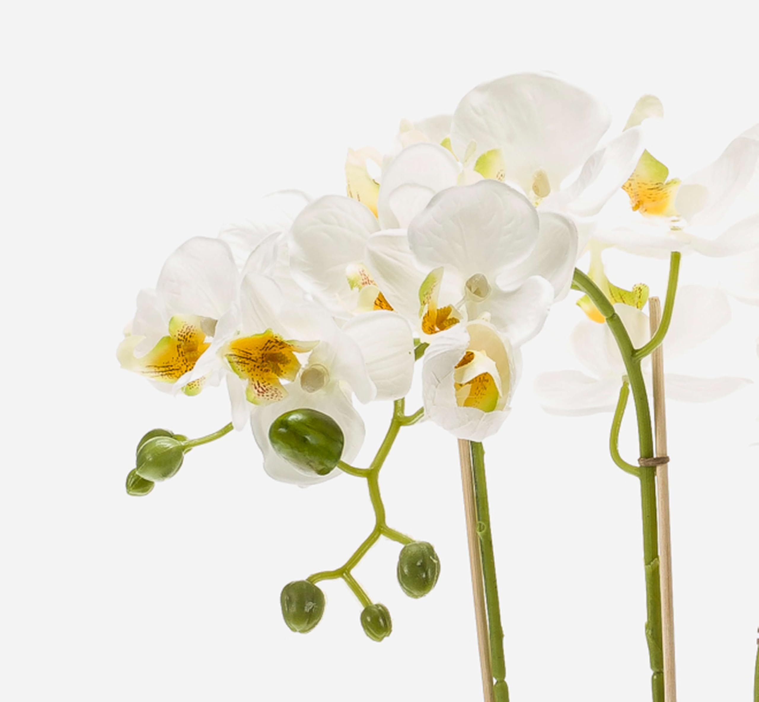 artplants Orquídea phalaenopsis Artificial Mina, Blanco, 60cm