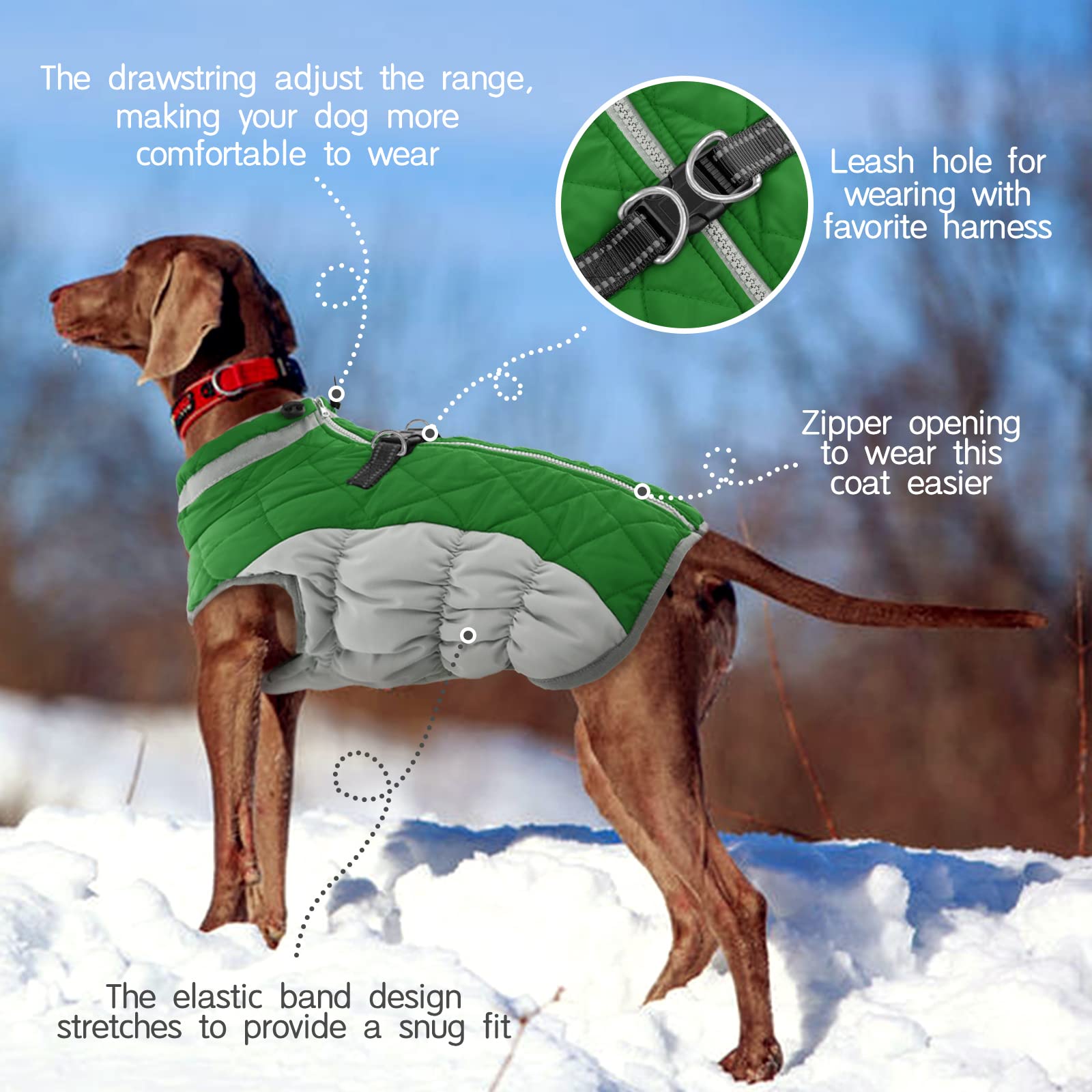 FUAMEY Chaleco acolchado para perro, abrigo reflectante de invierno para perro, chaqueta de invierno cálida para perro, ropa cómoda para clima frío, chaleco cálido a prueba de nieve para perros
