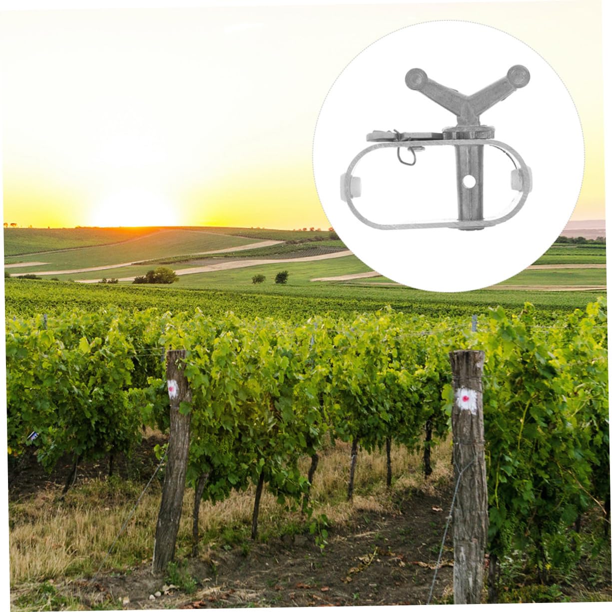 Tenditore per Cavi in Acciaio A3 8 Pezzi Argento per Vigneti | Strutture per Coltivazioni e Alberi da Frutto, Montaggio Semplice, Design Versatile, Resistenza alla Ruggine