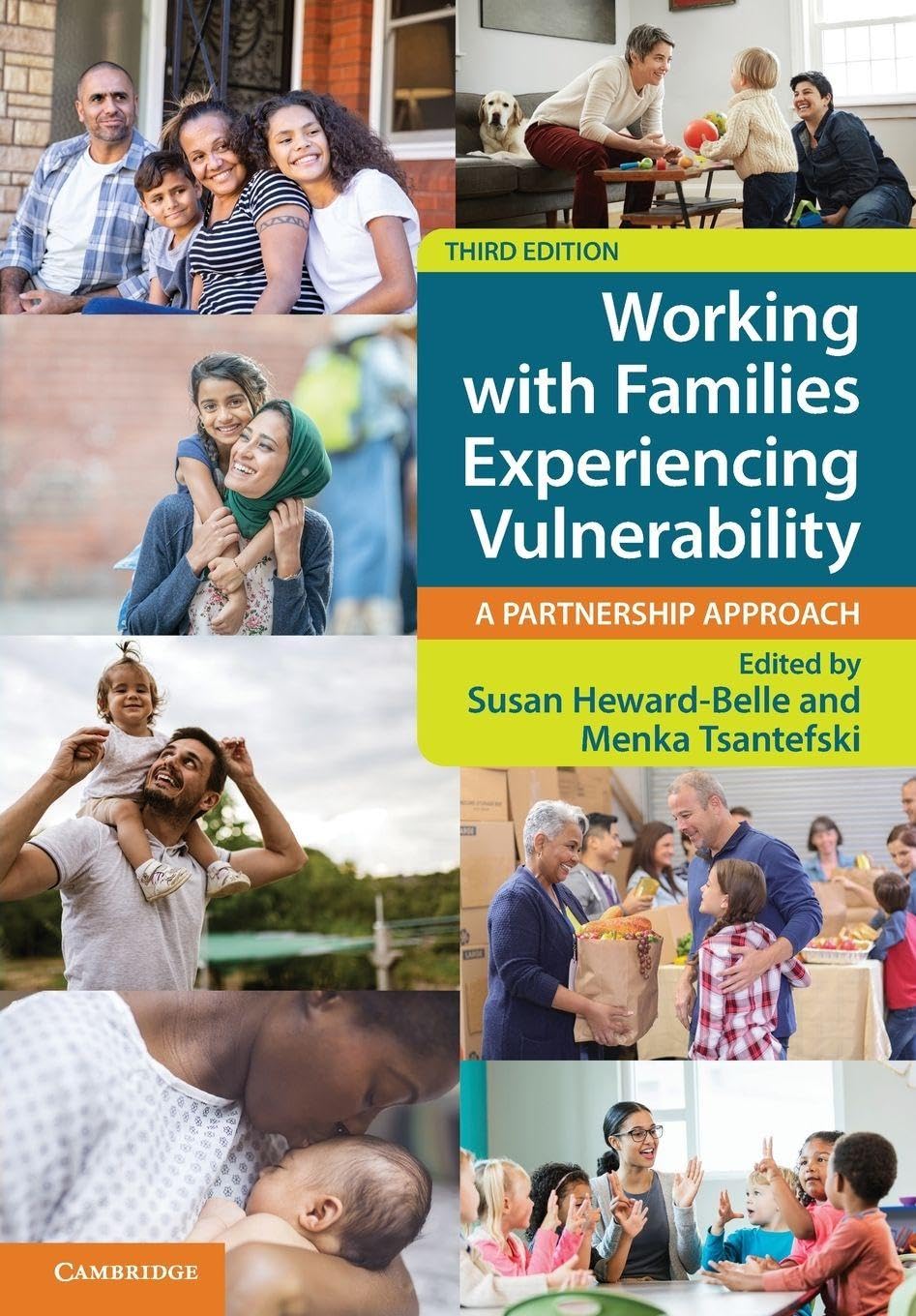 Working with Families Experiencing Vulnerability by Susan Heward-Belle PAPERBACK