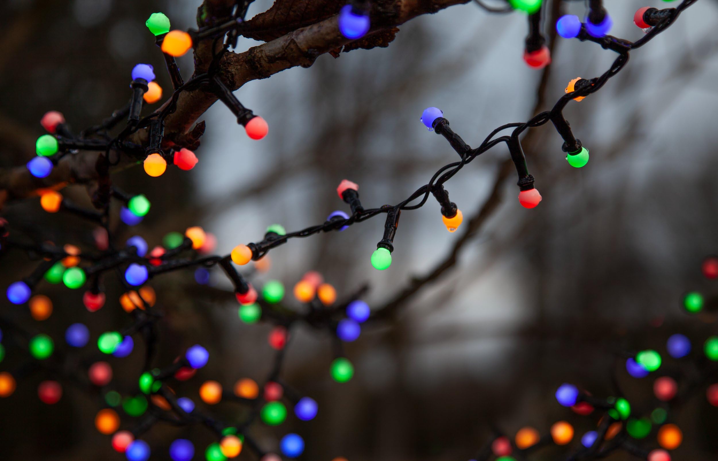 EGLO Catena luminosa esterna Berry Mini, illuminazione natalizia | da giardino, catena LED, plastica nera e bianca IP44, multicolore, 1400 cm