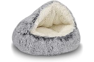 Cozy Paw Bed for Dogs: Perfect Haven for Your Furry Friend
