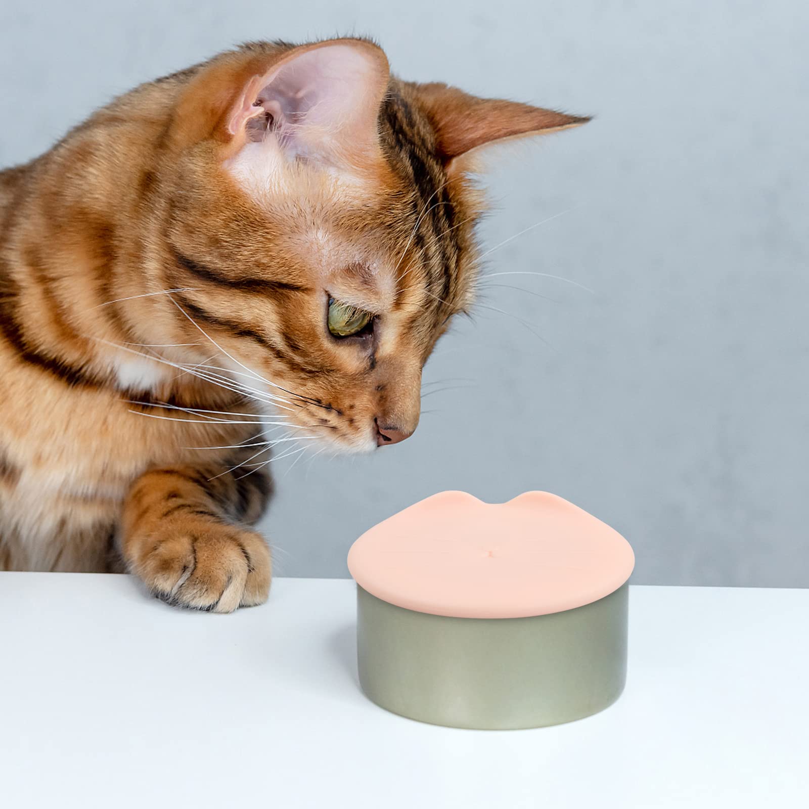 Hotype Coperchi In Silicone Per Scatolette Cane E Gatto - 2 Pezzi Blu, Sigillanti E Pratici - Foto 2