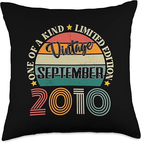 14 Year Old Vintage September 2010 14th Birthday Retro Throw Pillow, 18x18, Multicolor