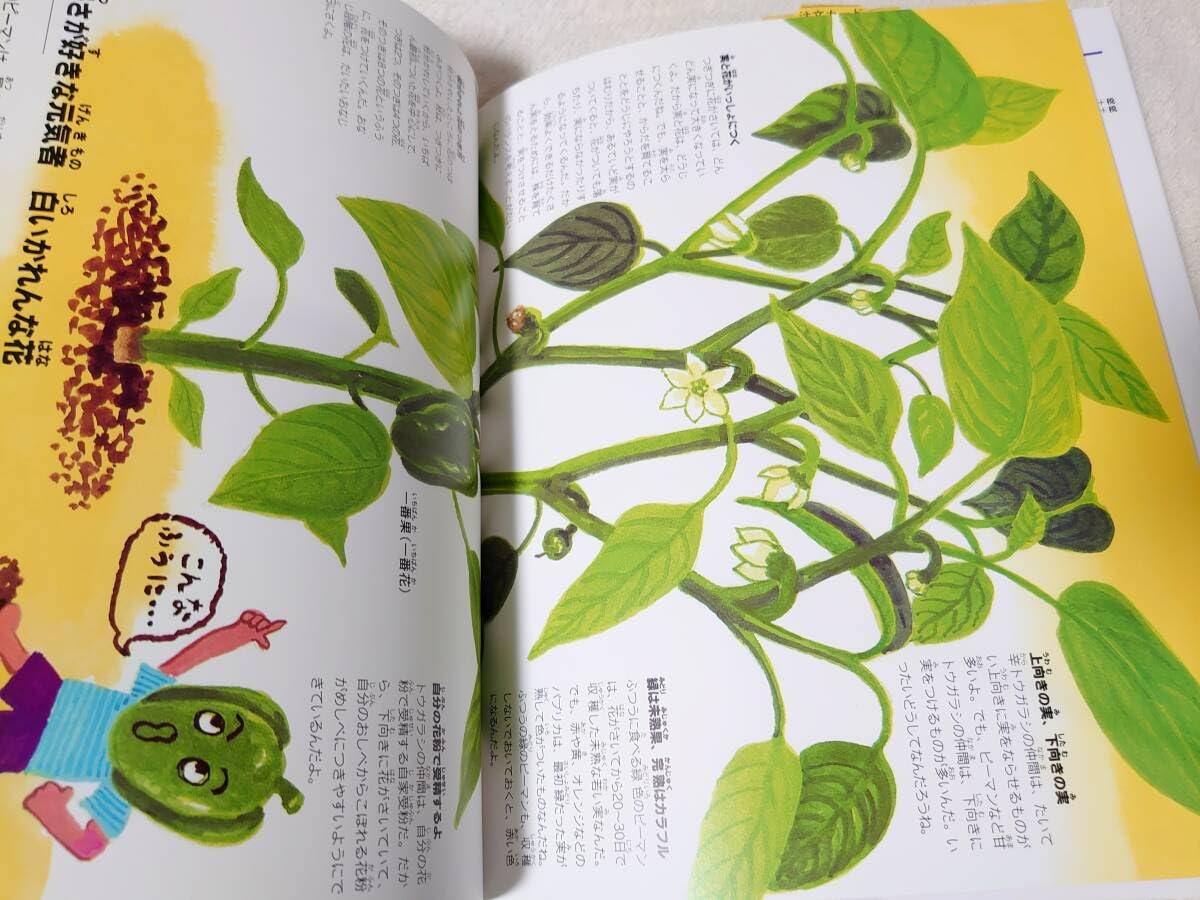 Amazon.co.jp: ☆そだててあそぼう46 ピーマンの絵本 栽培 家庭菜園
