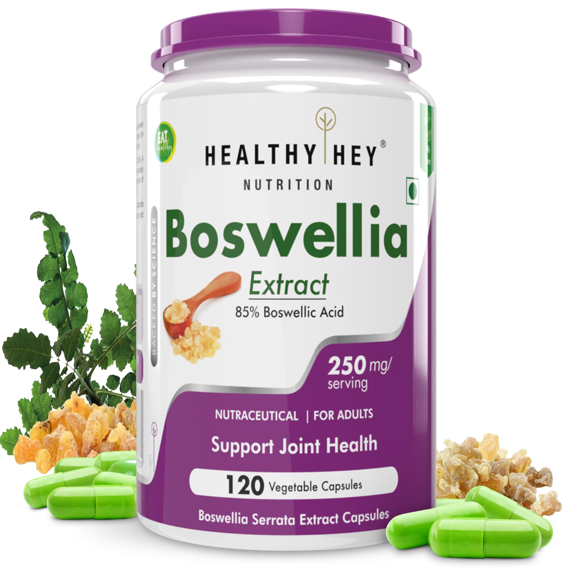 HealthyHey Nutrition Boswellia Serrata Extract - 120 Vegetable Capsules