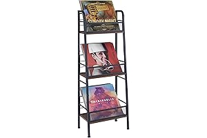 Vinyl Record Storage Rack Album Stabilizing Muse