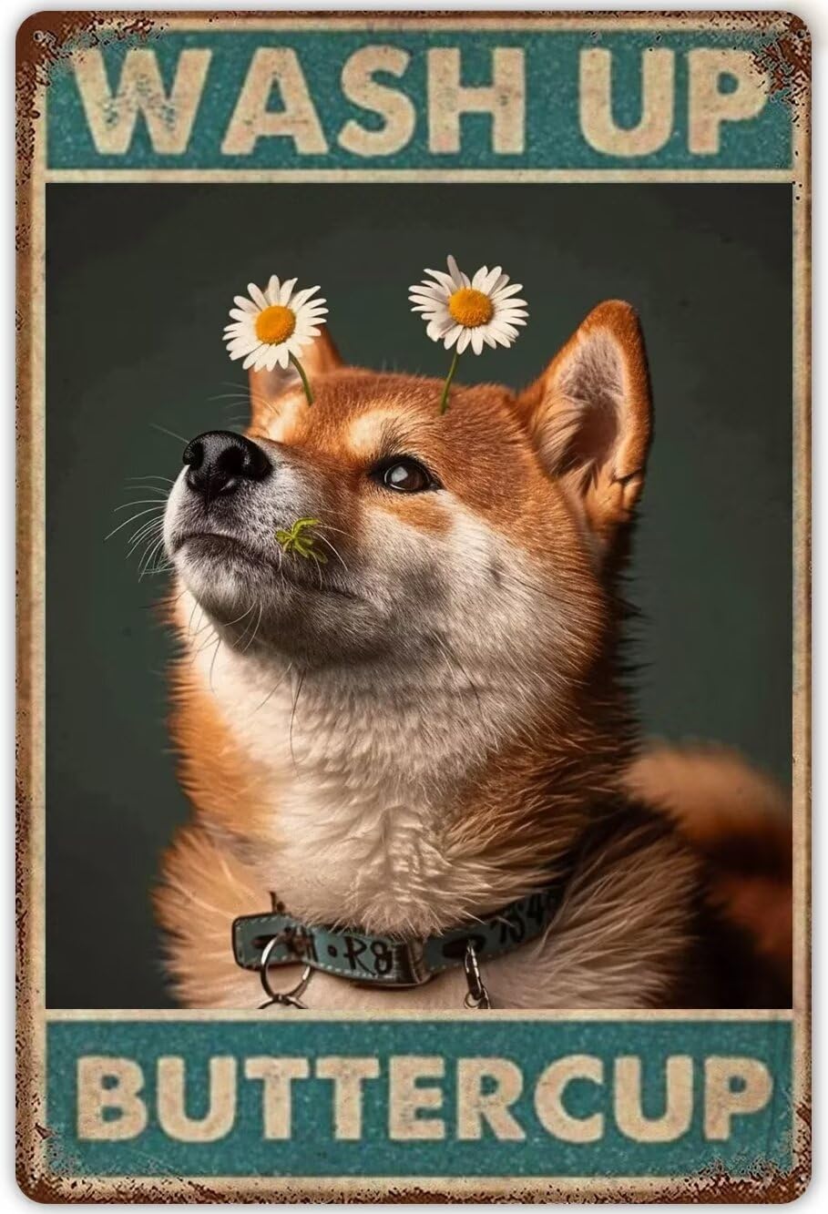 Anceky Shiba Inu Diamond Art Kits for Adults Dog Wash Up Buttercup Funny Bathroom Decor Painting Kits Shiba Inu for Beginners Crafts Home Decor Dog Lovers 8X12 Inch