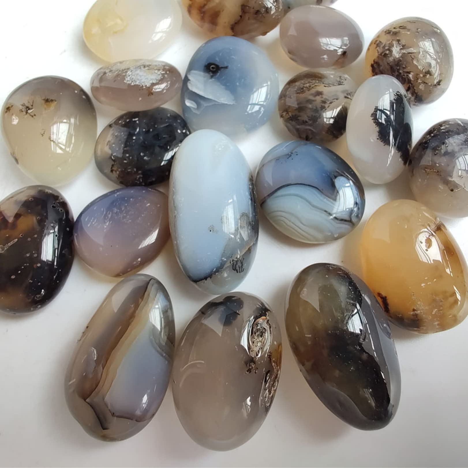 Amazon.co.jp: 50 グラム天然海カルセドニー瑪瑙研磨石標本家庭用水槽