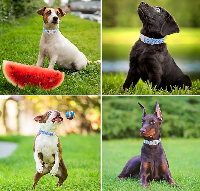 Collar para perro verano ancla algodón ajustable XS miniatura 5