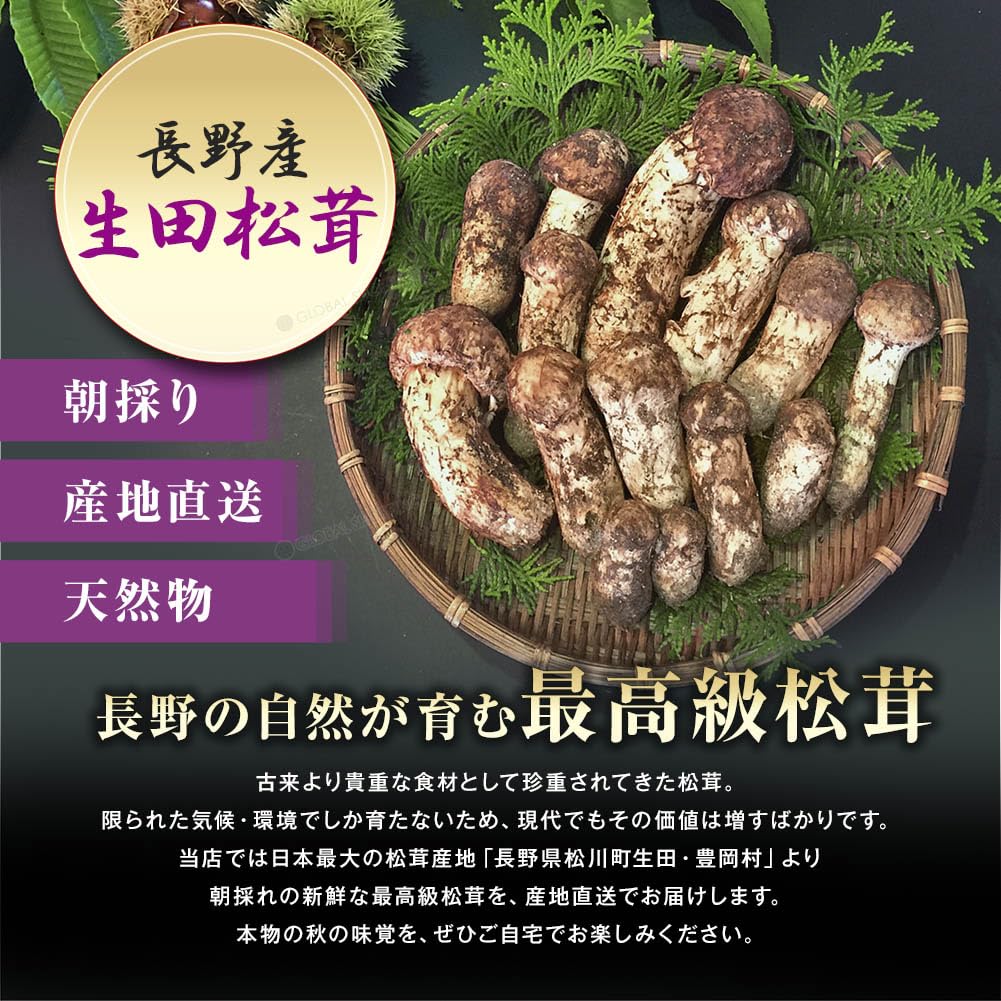 信州産 松茸 750g 特産品のみ 【公式通販】