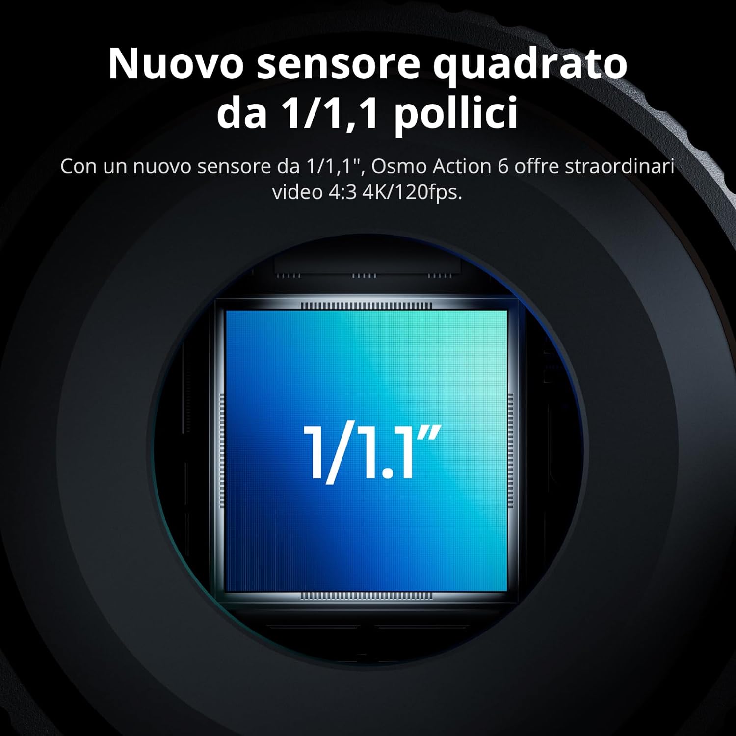 Immagine 3