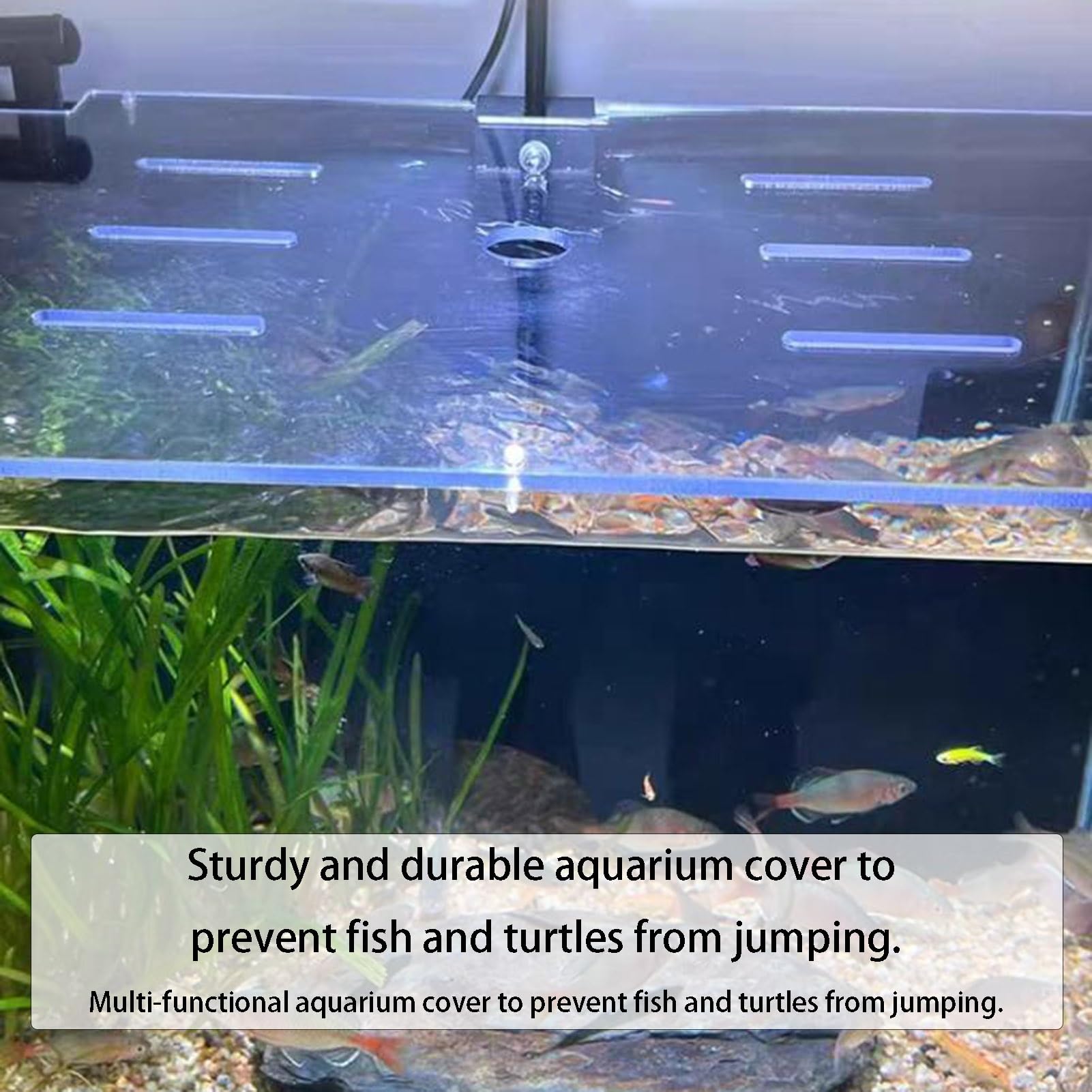 Couvercle d'aquarium en Acrylique avec Trou d'air Frais, Couvercle Anti-Saut, Couvercle de réservoir ventilé for Reptiles, Tortues, Aquarium, Habitat(40x40cm)