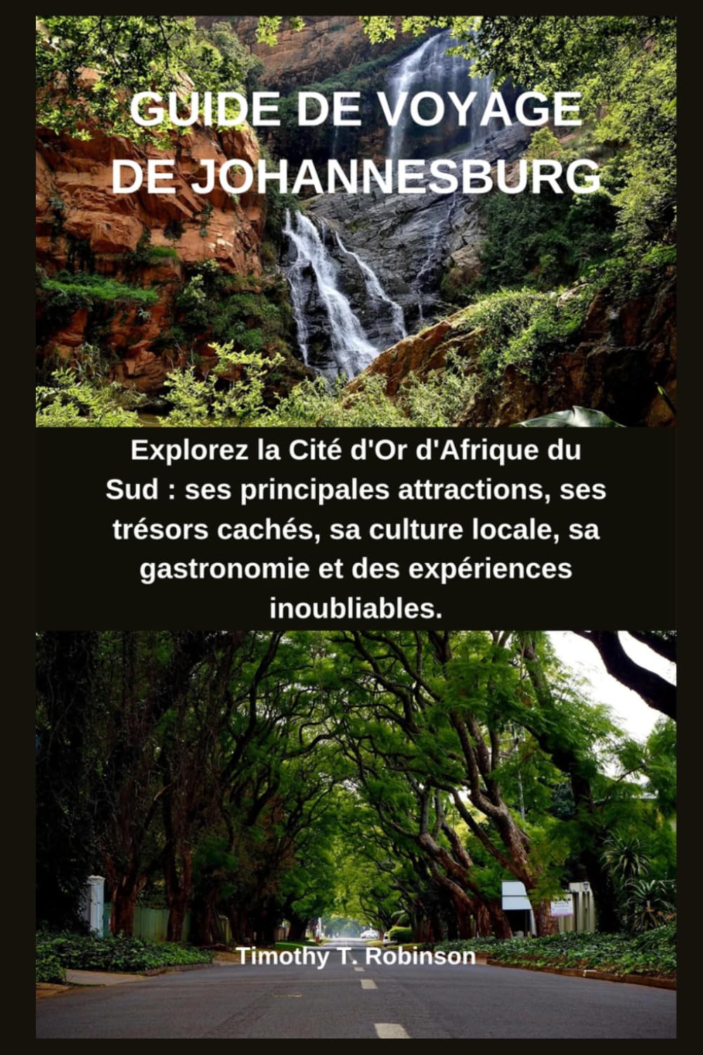 GUIDE DE VOYAGE DE JOHANNESBURG: Explorez la Cité d'Or d'Afrique du Sud : ses principales attractions, ses trésors cachés, sa culture locale, sa gastronomie et des expériences inoubliables.