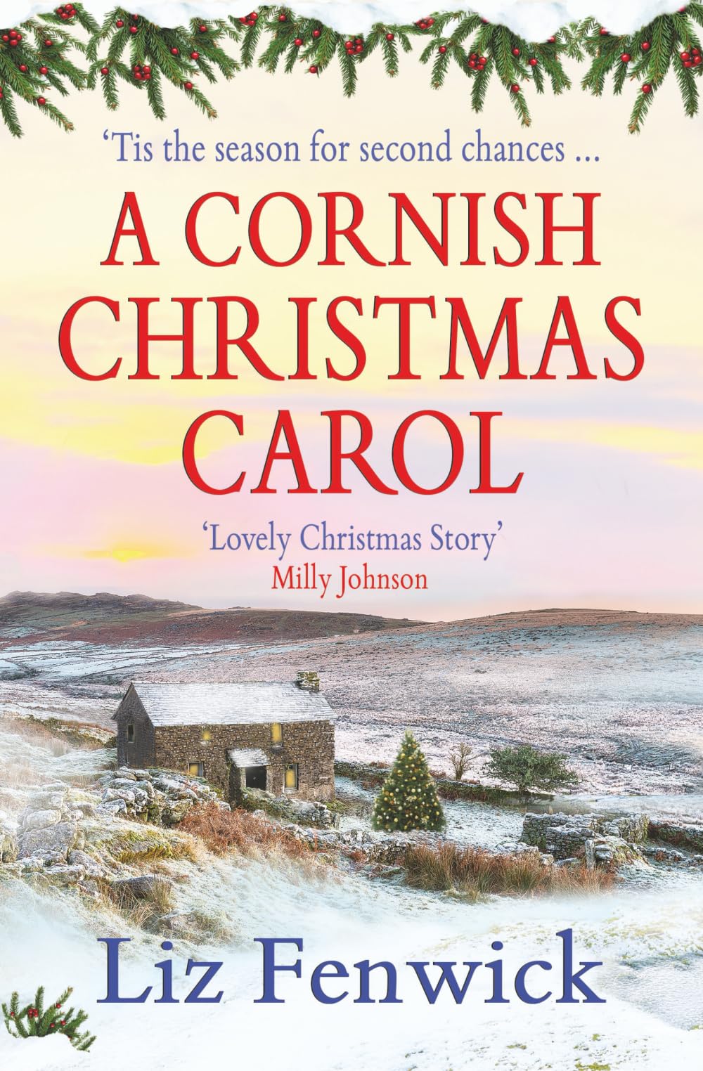 A Cornish Christmas Carol: A festive Novella