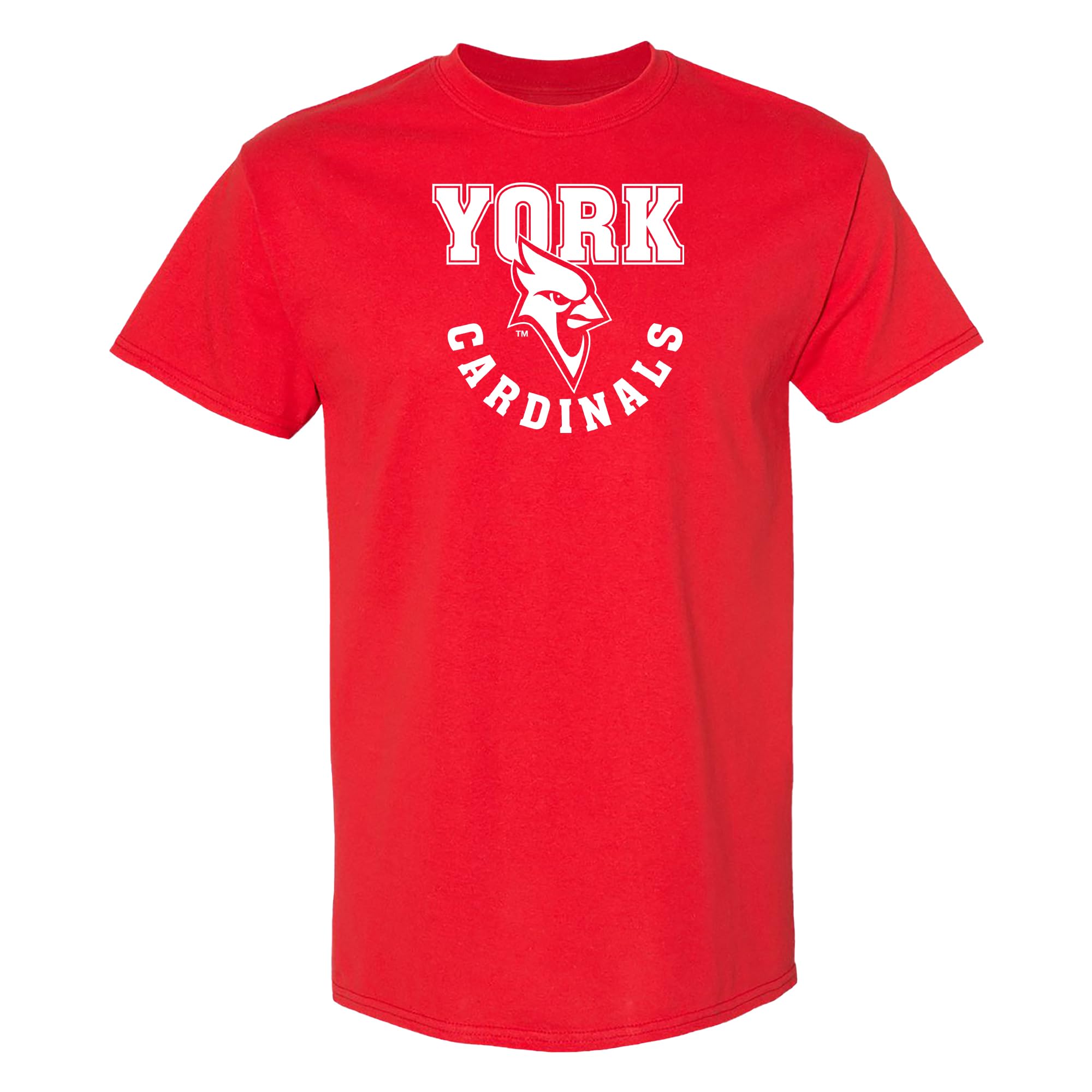 NCAA Arch Logo - NCAA Sports Team Color T Shirt — view 101