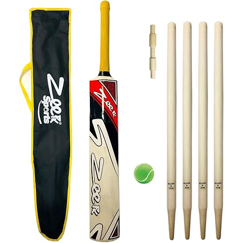 Complete Junior Cricket BAT KIT for Kids Age 8-14 Years Kashmir Willow BAT + WICKETS