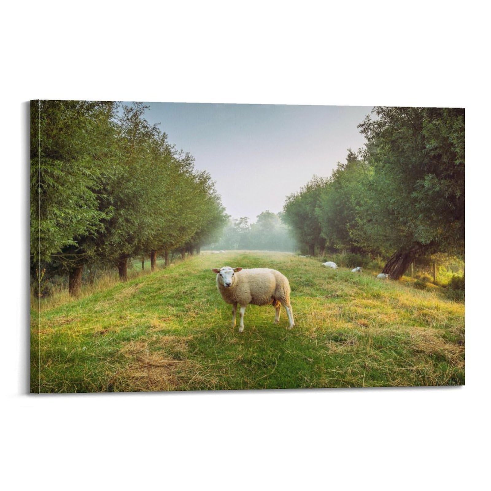 CXHJCA Animal Poster Cute Sheep Poster Decorative Painting Canvas Wall Posters And Art Picture Print Modern Family Bedroom Decor Posters 24x36inch(60x90cm)