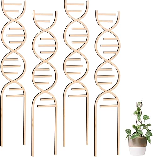 Joochi - Enrejado de plantas pequeñas para plantas trepadoras, forma de ADN de madera para jardín, enrejado para plantas de madera, soporte para