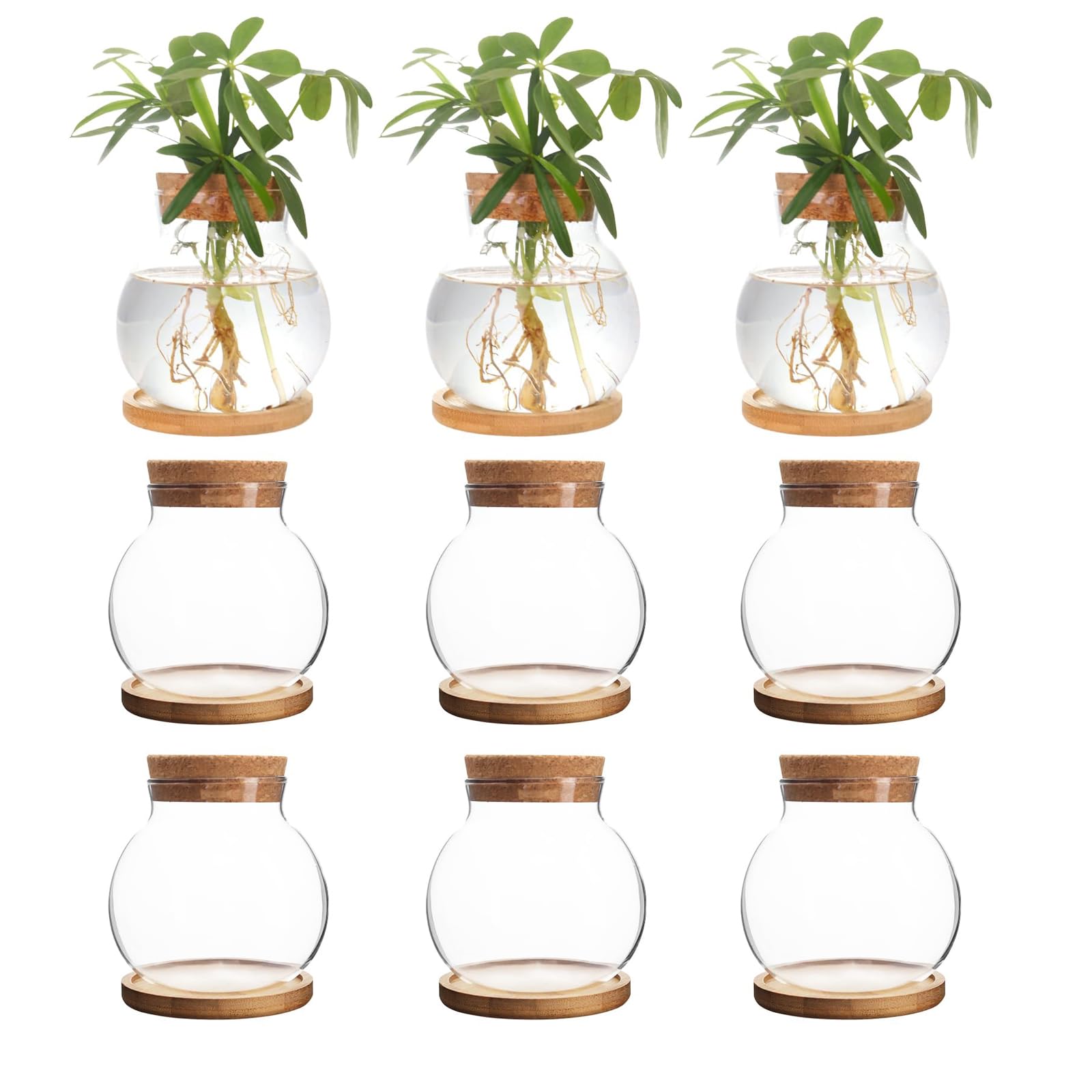 Pflanzen-Anzuchtstation, Hydrokultur-Glasbehälter, Vase, Gläser mit Holzuntersetzer für Schreibtische, Häuser, Gartendekorationen, Heimküchendekorationen und Geschenke für Pflanzenliebhaber