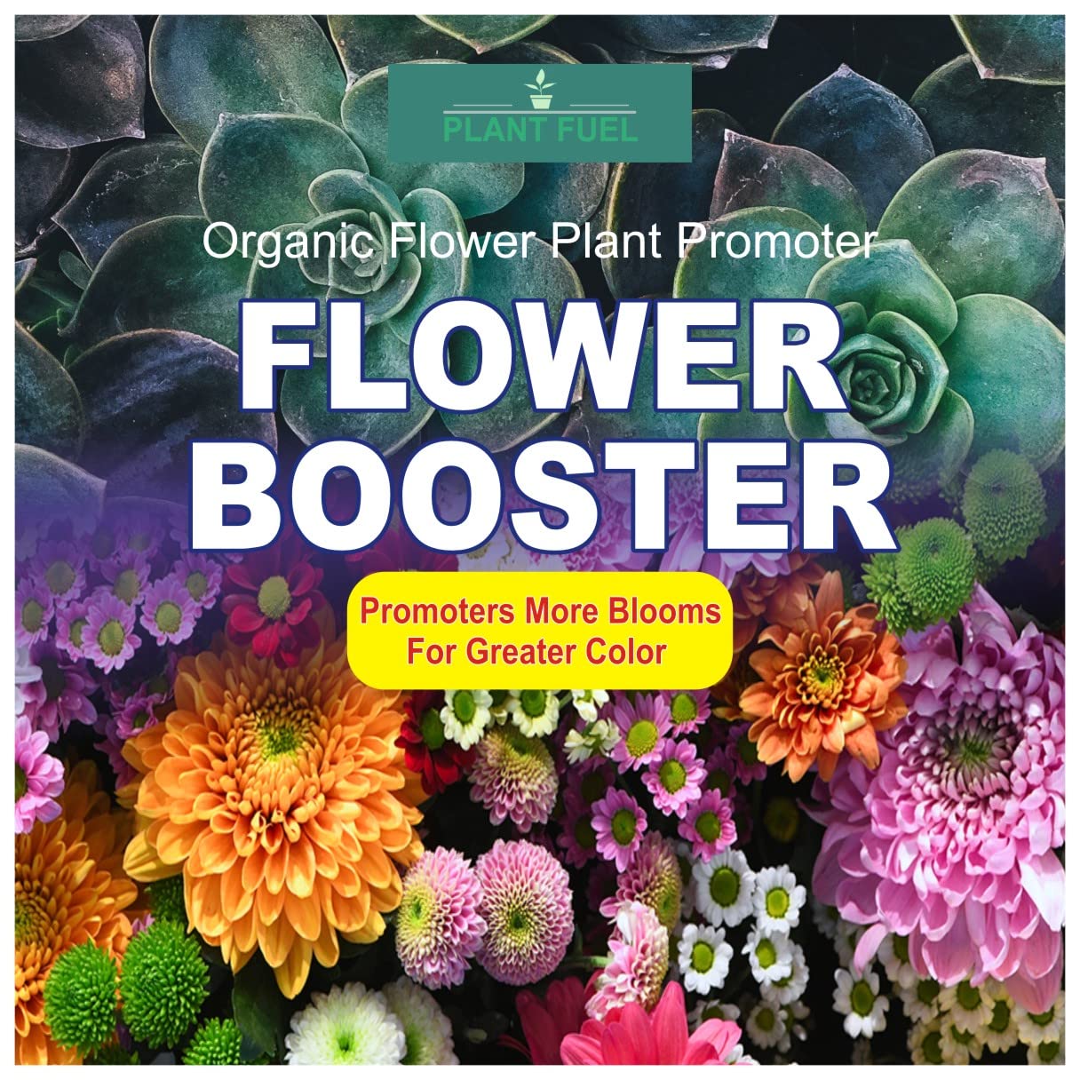 Plant fuel-Flower Booster - (1kg) Provides All Essential Multi Micro nutrients for All Flowering Plants. (B0C5DF9RTX) Amazon Price History, Amazon Price Tracker