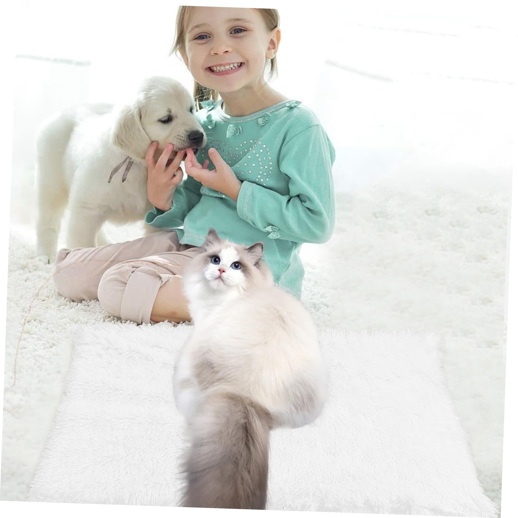 BESPORTBLE 3 Piezas Alfombra para Mascotas Perrito Estera De La Cama del Perro De La Felpa De o De Peluche Pequeña para Mascotas Estera para os Sherpas