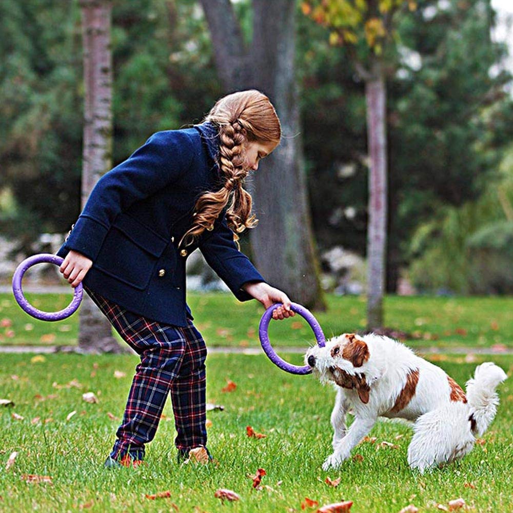 Ferplast Gioco Cane, Anello Addestramento Cani da Masticare, per Corsa, Salto, Tiro, Materiale Robusto Atossico, Galleggiante, PULLER MINI, Gioco Cane Piccolo e Cuccioli, Set di 2 Anelli Fitness