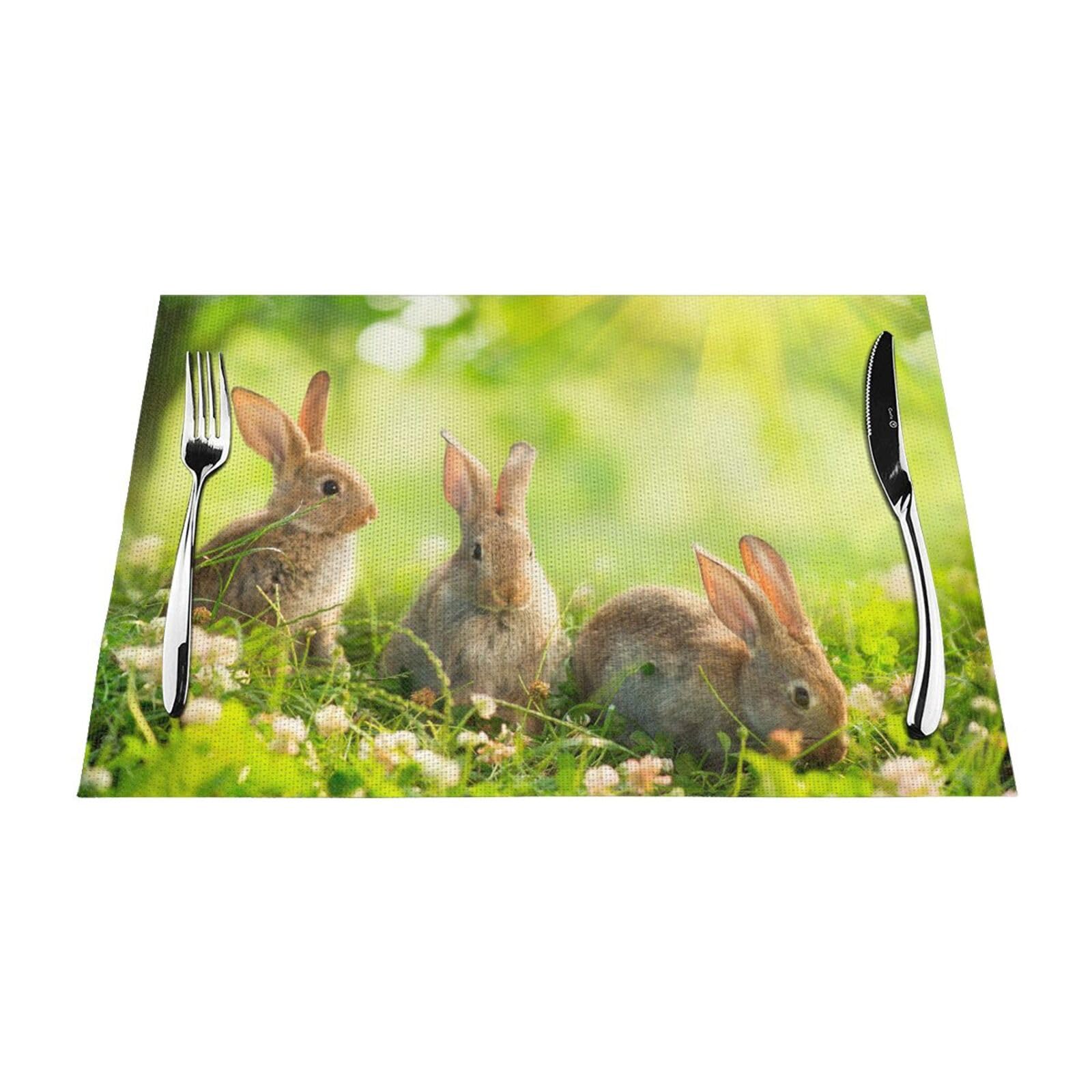 PVC Placemat Set of 1 PCS, 45x30 CM, Funny Rabbits Printed Non-Slip Heat Resistant Place Mats for Kitchen Dining Table Indoor Outdoor