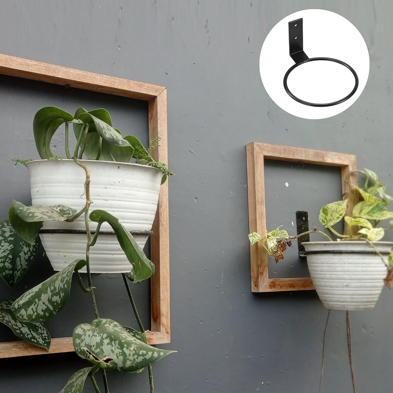PATIKIL 8 Inch Flower Pot Holder, Ring Wall Mounted Plant Stand Rack for Home Indoor Outdoor, Black