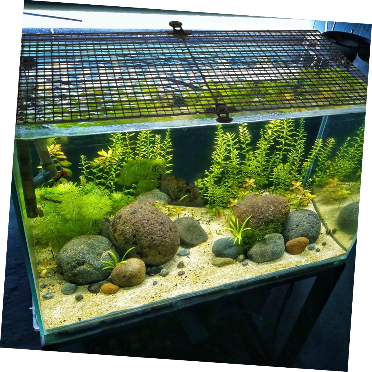 TOYANDONA 4sets Plastic Aquarium Divider Grid with Clips for Filtration and Fish Jump Prevention in Aquascaping Accessories Crate Isolation Board for Fish Tank Separation