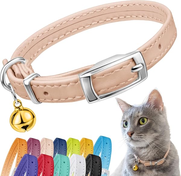 CollarDirect Collier pour Chat en Cuir de Sécurité avec Sangle Elastique, Cloche - pour Chaton - Noir, Bleu, Rouge, Orange, Vert Lime, Beige (15-18 cm) - 1