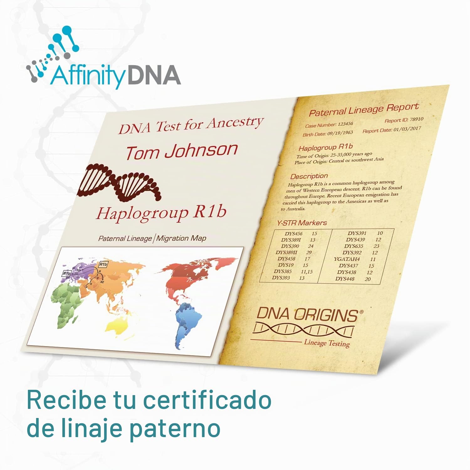 Kit de prueba de ADN de ascendencia paterna - Descubra su Haplogrupo Y-STR - Resultados en 6-7 semanas - Kit de recogida de muestras de ADN en casa