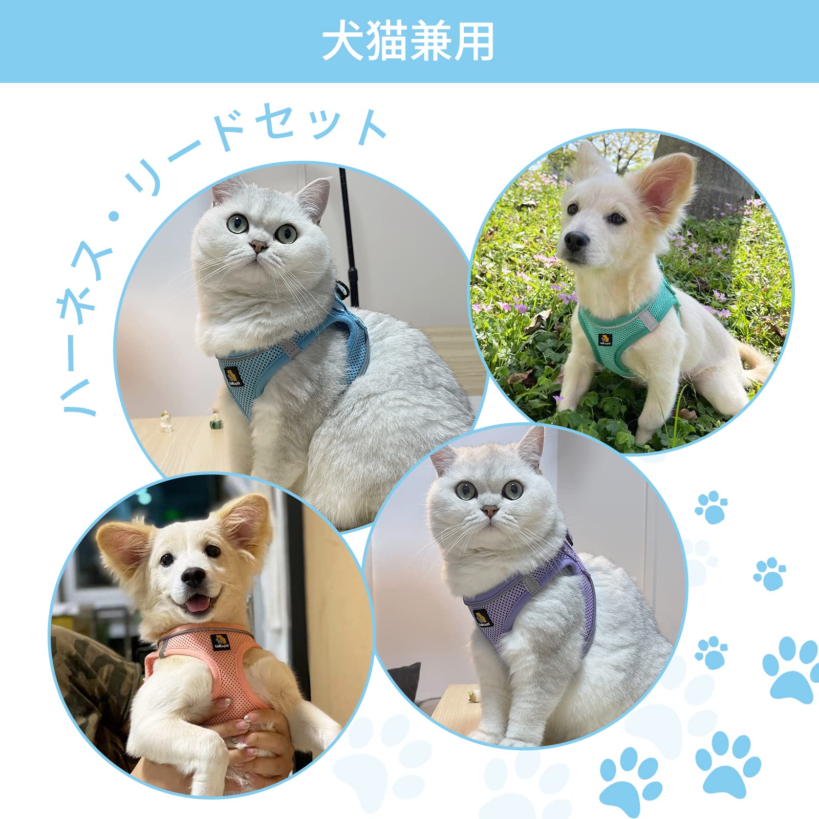 ミントドット、わんちゃん猫ちゃん用襟付き首輪 ミントドット、わんちゃん猫ちゃん用襟付き首輪