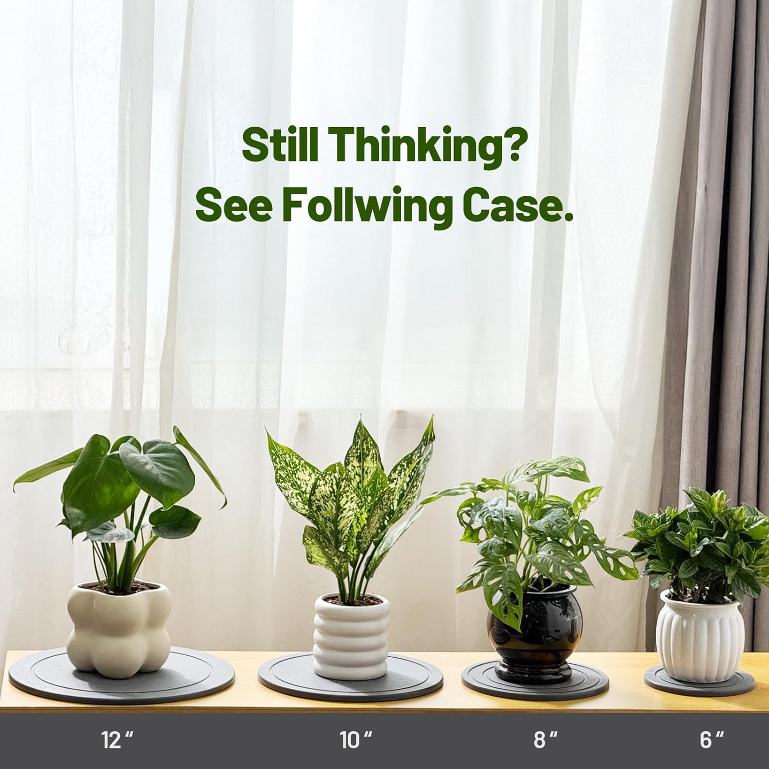 MUDEELA Diatomaceous Earth Plant Saucers for Indoor & Outdoor, 3 Pack of 6 Inches Round Plant Tray Plant Dish Pant Plate to Catch Water for Flower and Plant Pot, Instant Drying Stone Drainage Tray - Image 6