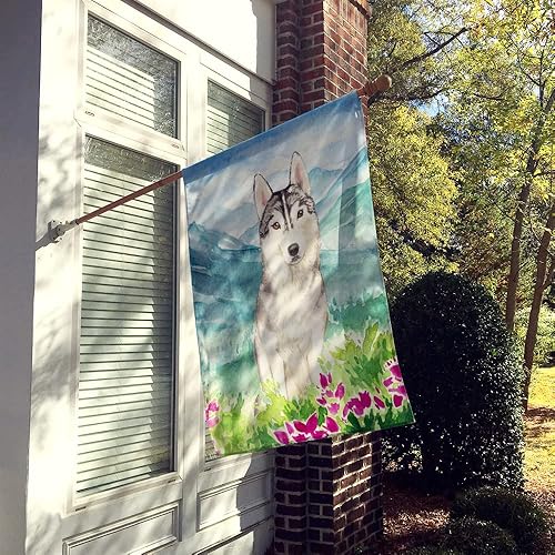 Miniatura 2 de Caroline's Treasures CK2519CHF - Lienzo con bandera de Husky siberiano, tamaño grande, multicolor