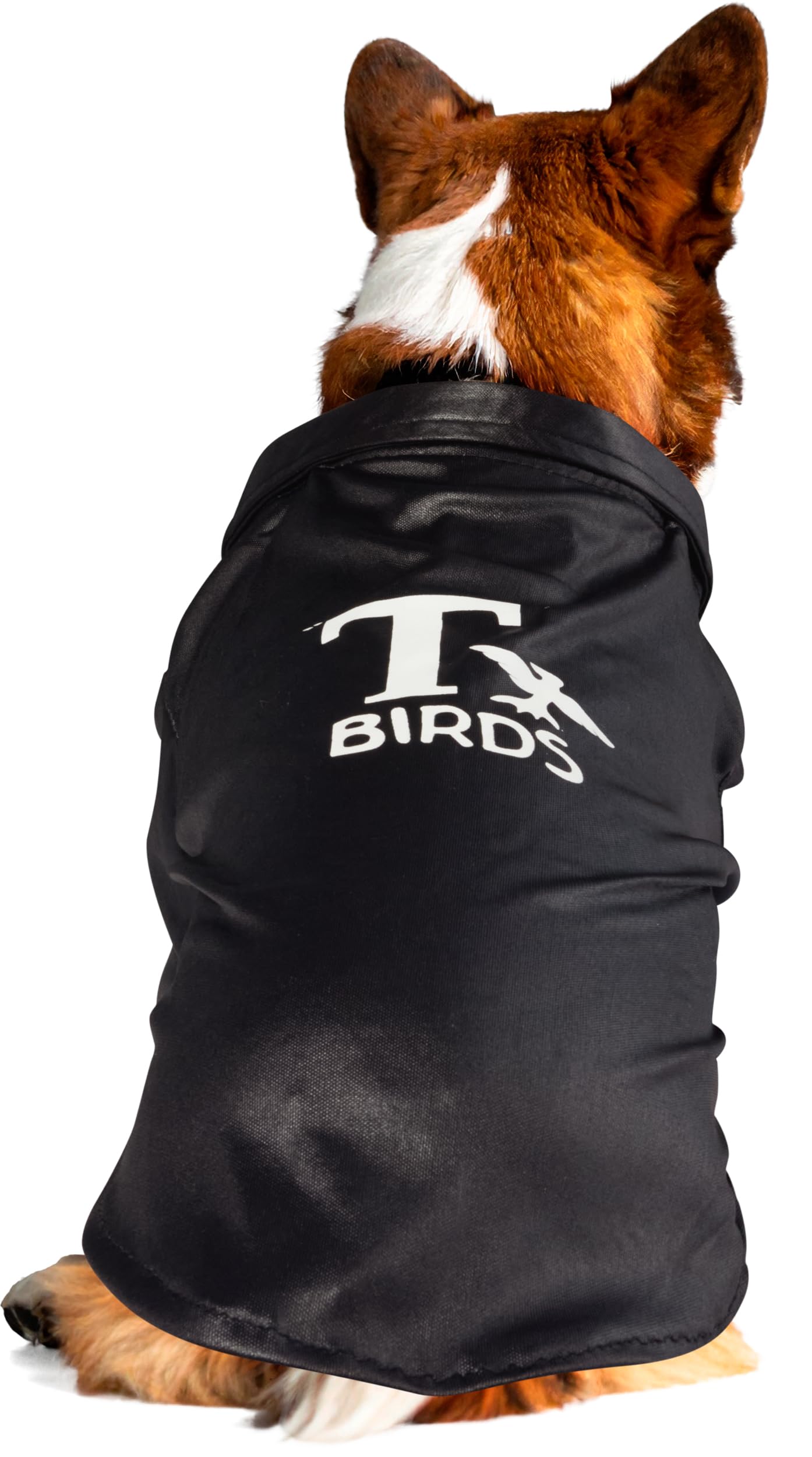 Grease: T-Birds Pet Costume for For Dogs or Cats by Rubies, Medium