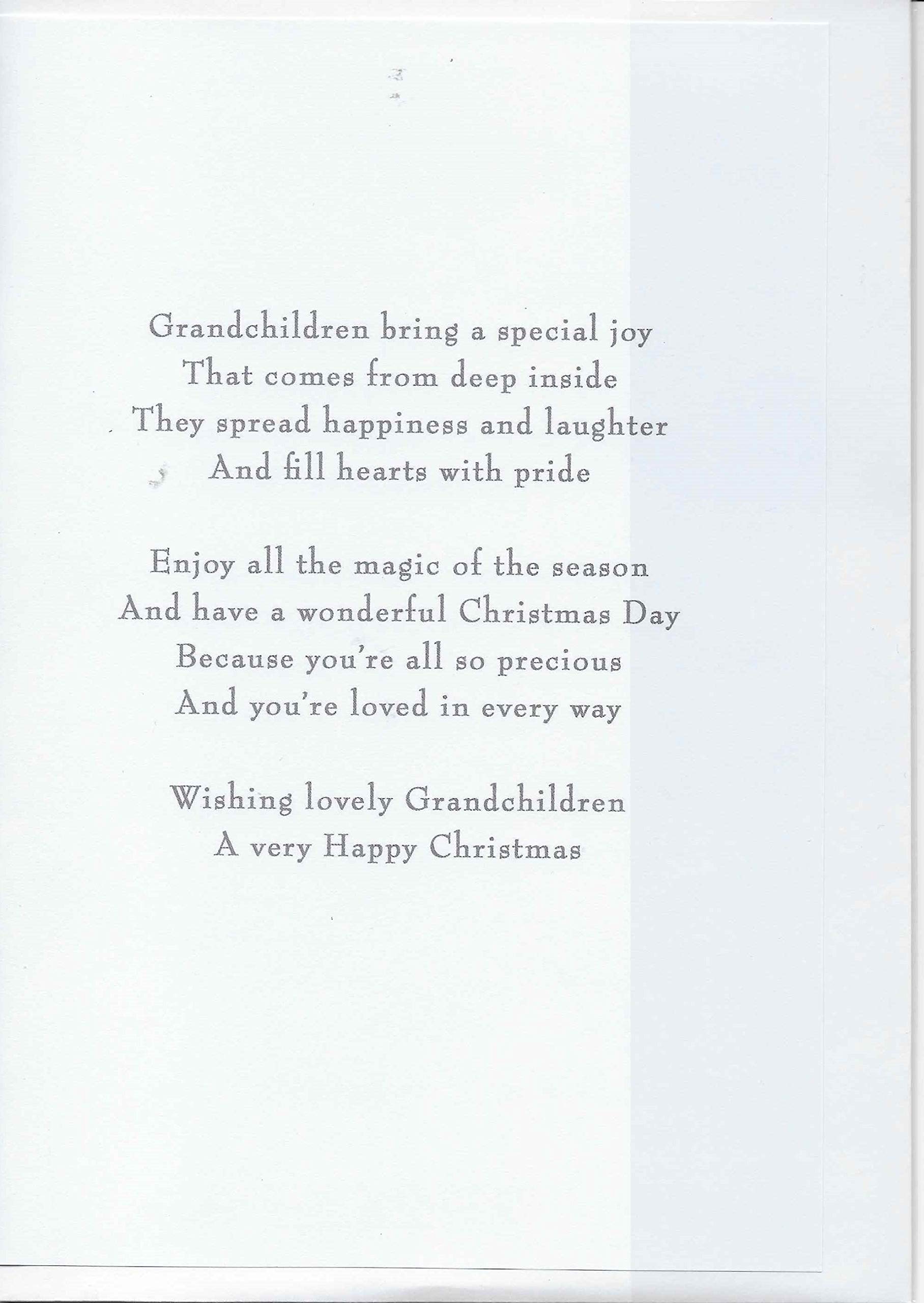 Weihnachtskarte Für Enkelsohn – Traditionelles Design, 22,9 X 15,2 Cm, Mit Umschlag