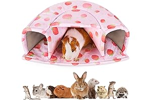 Cozy Haven Guinea Pig Bed: The Epitome of Snuggle and Serenity