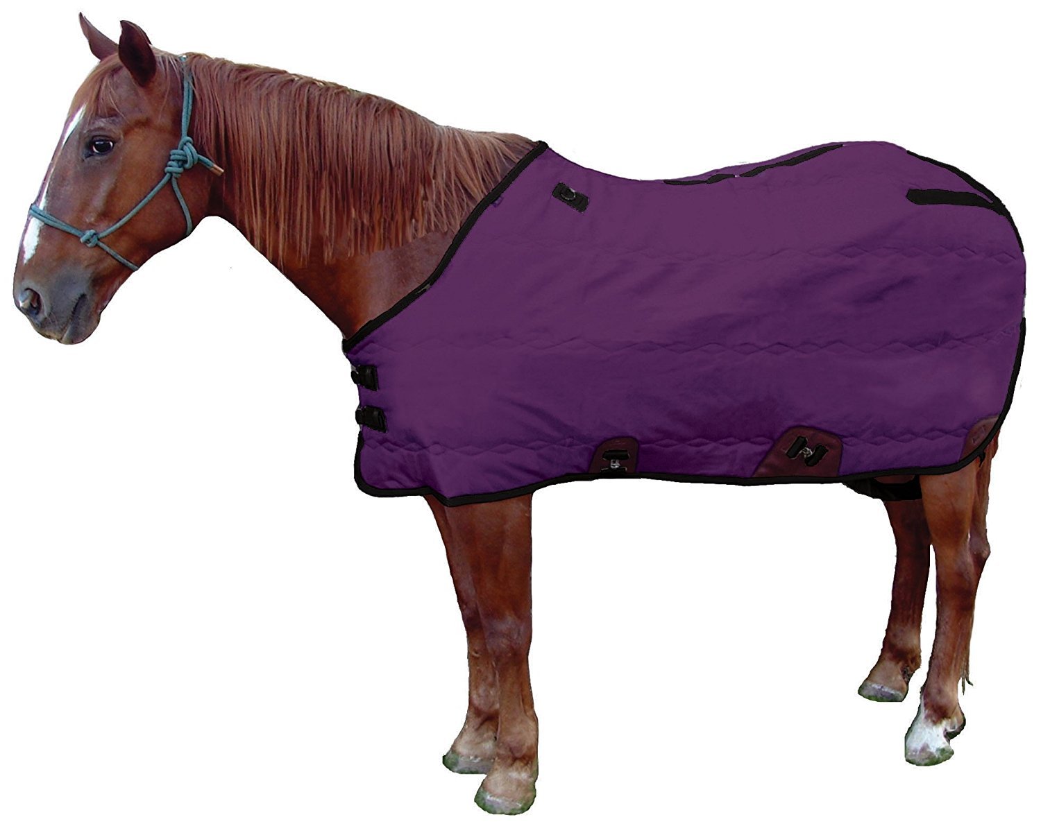 Royal Hamilton SB-420D-PR-S Stable Horse Blanket Purple with Gray Trim, 75-Inch Small