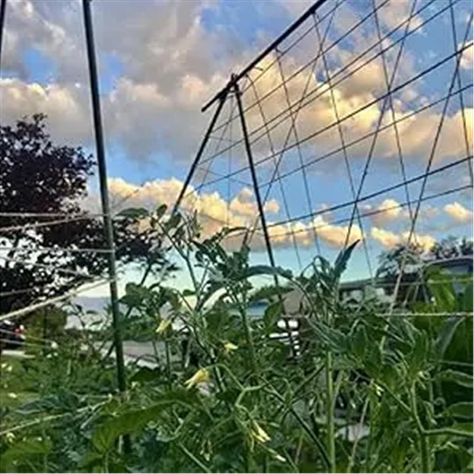 Corda Canapa Naturale Spago di iuta naturale, corda lunga 500 m, for artigianato, confezionamento, imballaggio, giardinaggio, lavorazione a maglia all'uncinetto, decorazione macramè