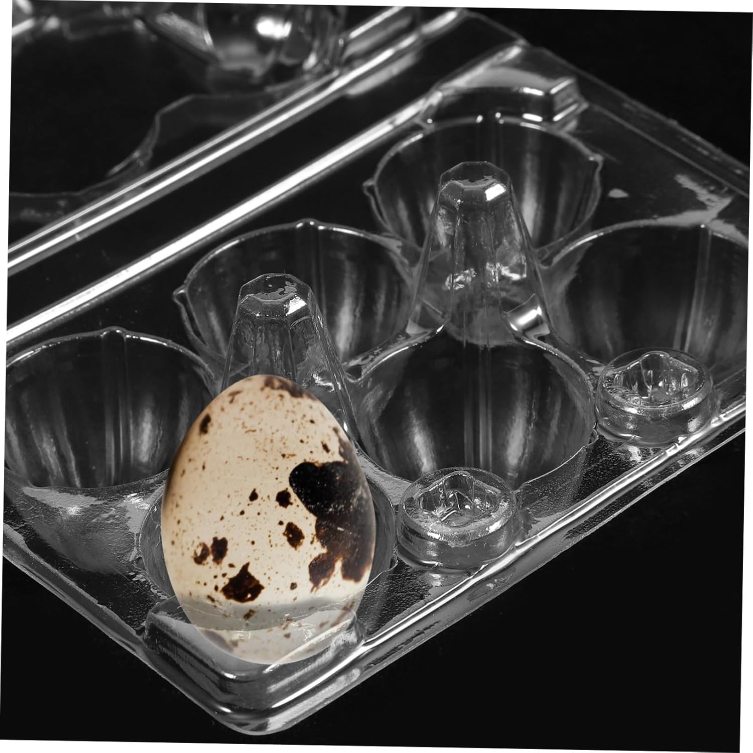 50pcs Transparent Quail Egg Holder Egg Tray for Safe Storage for Refrigerators and Camping Compact for Protection and Organization