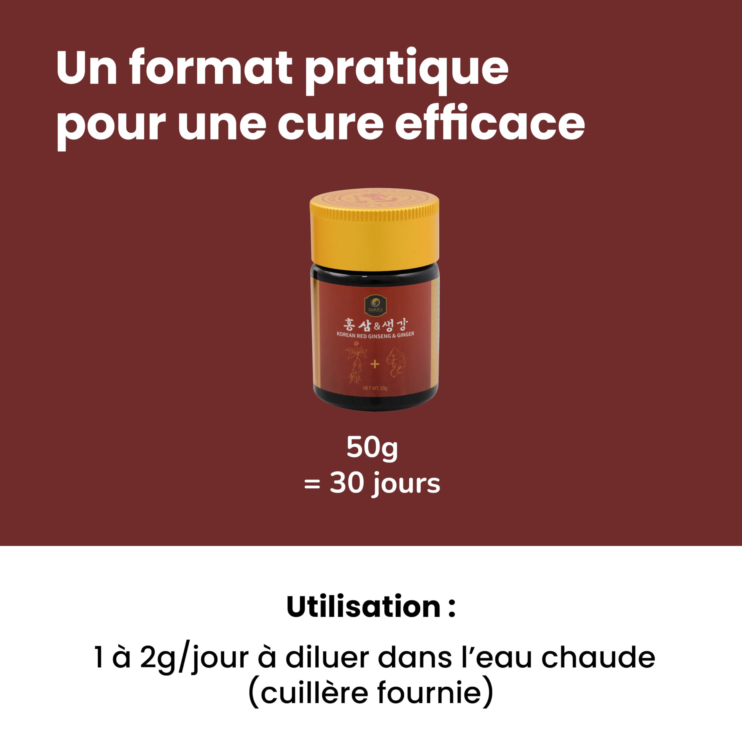 SAMSIDAE - Ginseng Rouge & Gingembre Coréen, Ginseng titré 10 mg/g, Énergie, digestion, immunité, Cuillère incluse,Qualité Supérieure, Cure de 1 mois, 50g