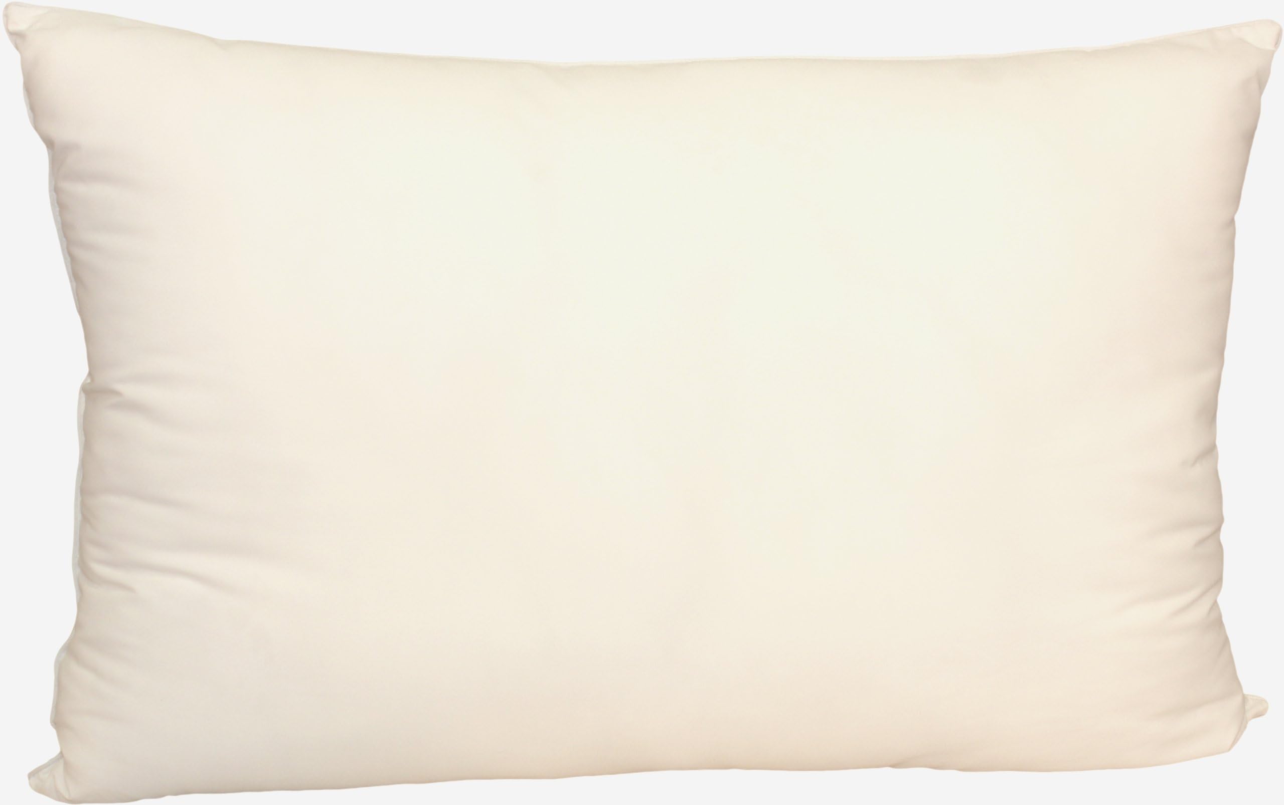 White Loft Micro Series True 0.7 Denier Microfiber Poly Pillow, 20 by 30 Inches, Queen