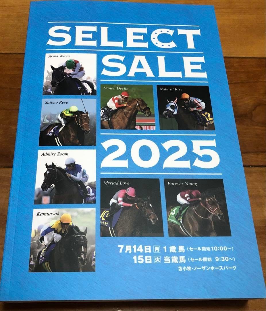 ほるぷ出版 らいおんコースまとめ売り(小学高学年用)59,000→14,000 ほるぷ出版 らいおんコースまとめ売り(小学高学年用)59,000→14,000