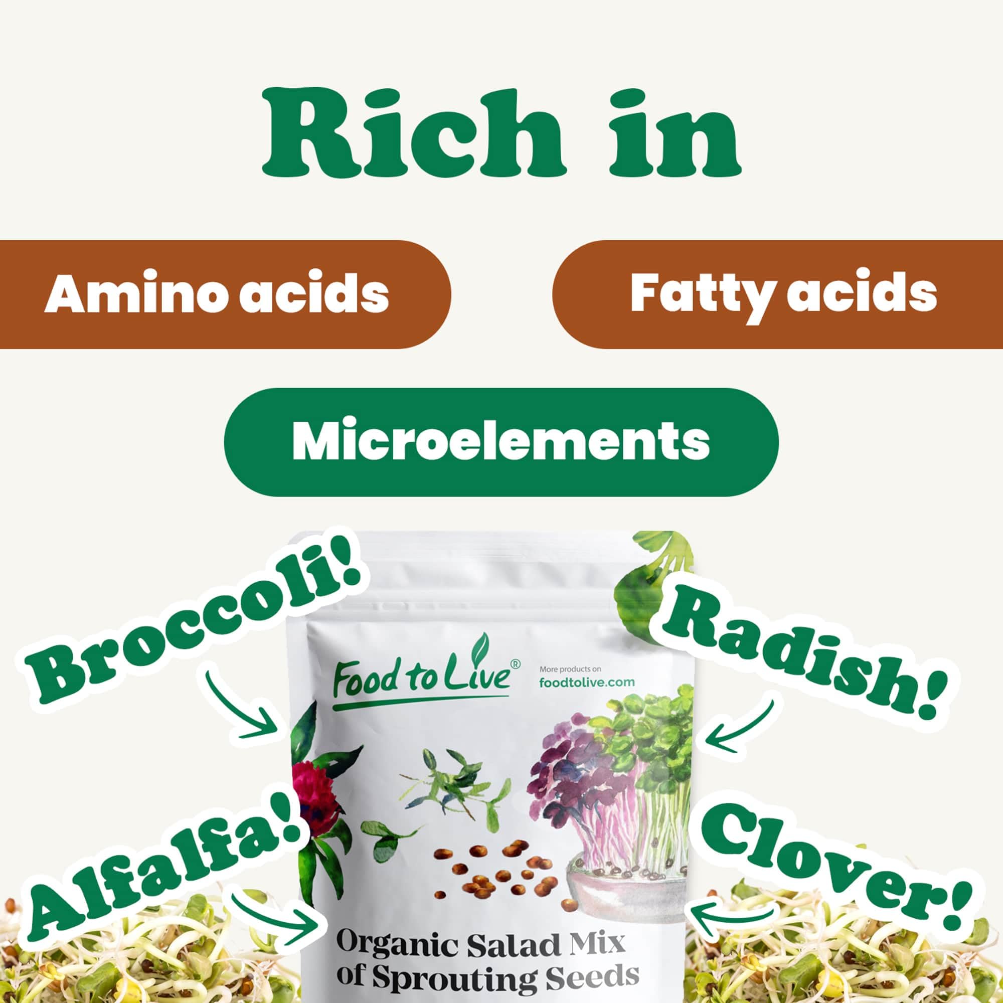 Bio Mélange à salade de graines à germer, 3 Livres - Brocoli Bio, Trèfle Bio, Radis Bio, Luzerne Bio, sans OGM, casher, en vrac