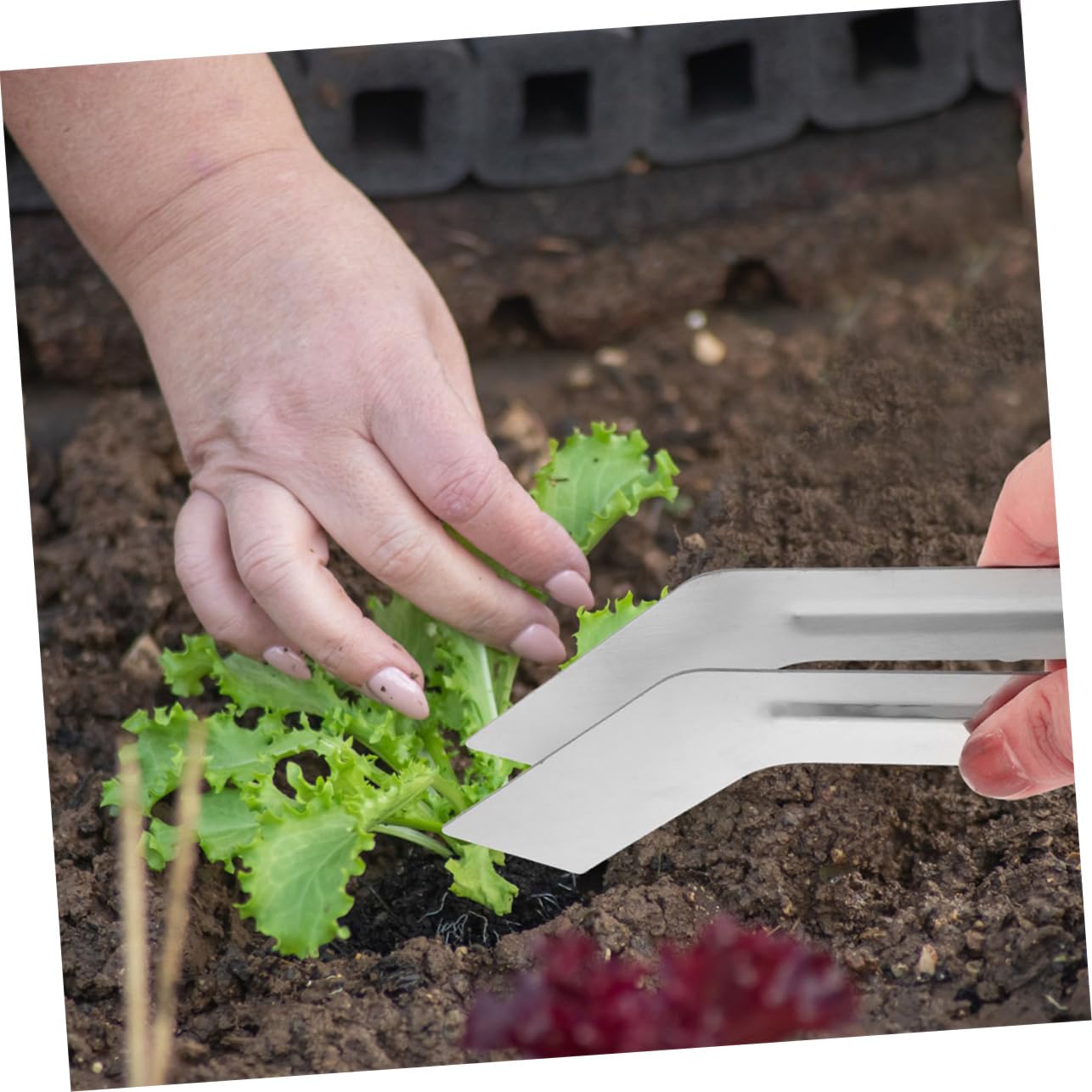 YARNOW 10 Pièces Ensemble D'Outils Floraux Pince D'Enlèvement De Plantes À Main en Acier Inoxydable Petite Pince Accessoire De Jardinage Outil De Plantation Petite Pince pour Plantes